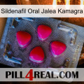 Sildenafil Oral Jelly Kamagra 13